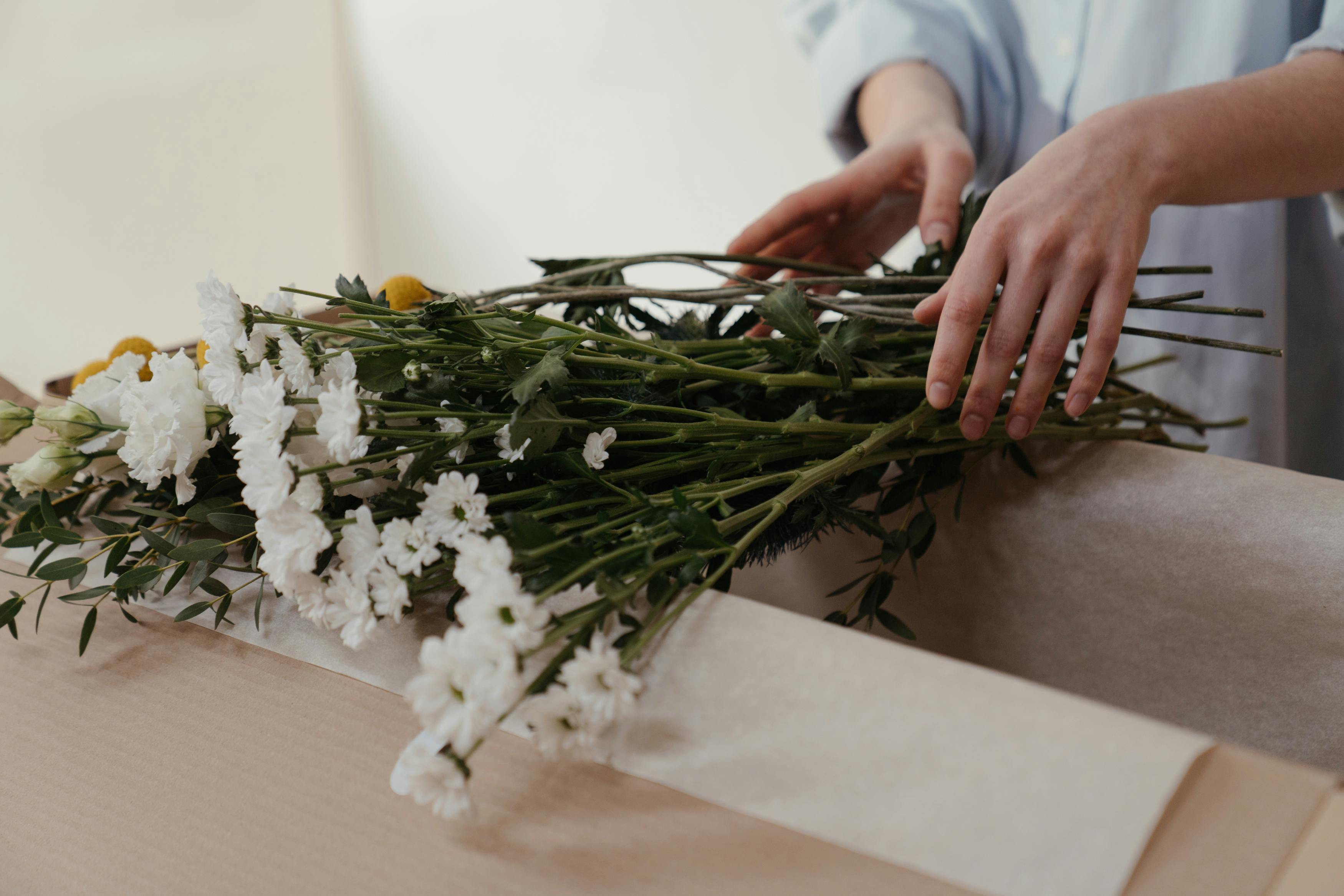 Bloom Botanicals image